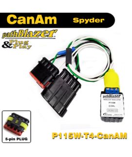 P115W-T4-CanAm
